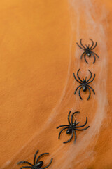 Black spiders in the web. A long white web. Spiders have made a web. Abstract background. Halloween party.  Halloween horror concept. Design element. 