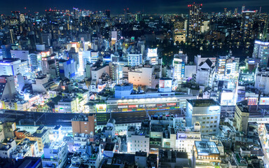Obraz premium 東京の夜景
