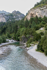 landscape of the Ara river as it crosses the Bujaruelo valley, in the Aragonese Pyrenees, located...