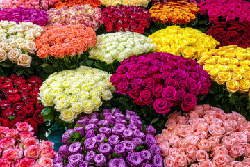Flower background top view. Multicolored bouquets of roses sale in flower shop.