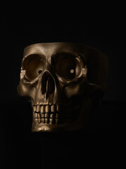 Gold human Skull Isolated on black background