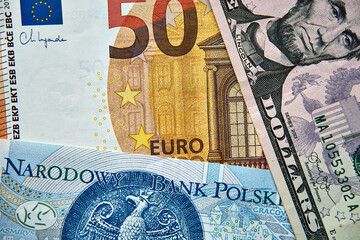banknoty : 50 euro, 50 złotych ,5 dolarów 