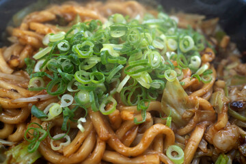 ネギたっぷりのホルモン焼うどん