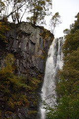 Fototapeta na wymiar the tall Pistyll Rhaeadr waterfall in north wales from the bottom of it