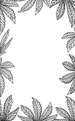 Doodle hand drawing monochrome leaves Cannabis frame black and white background