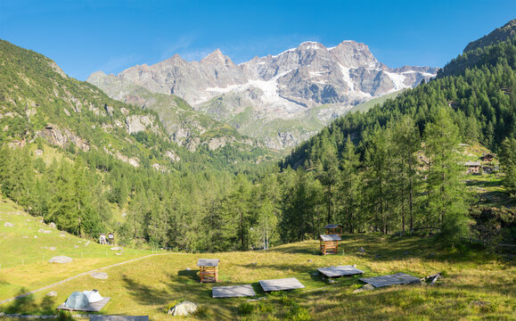 The Punta Gnifetti or Signalkuppe, Parrotspitze, Ludwigshohe, Piramide Vincent peaks from Rifugio Pastore - Valsesia valley.