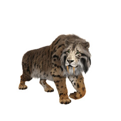 3D rendering of a Smilodon, the extinct pre-historic Sabre-tooth tiger