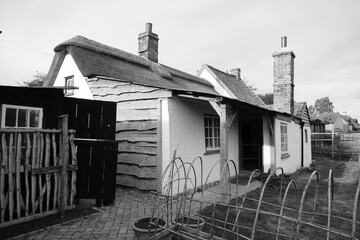 Wicken Fen Nature Reserve
