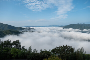 운해 구름의 바다와 하늘 풍경