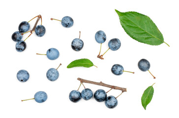 Blackthorn fruits isolated on a white background, top view