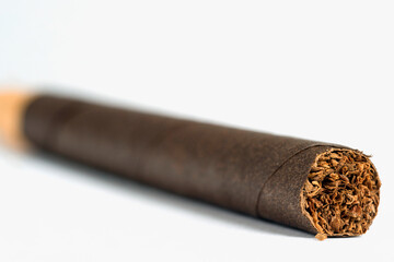 closeup cigar on white background