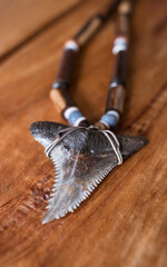 Gorgeous shark tooth necklace on rustic wood background