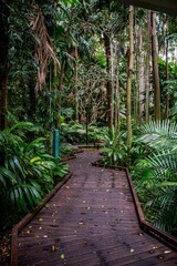 Vertical of a wooden zigzag trail surrounded by tall and leafy trees