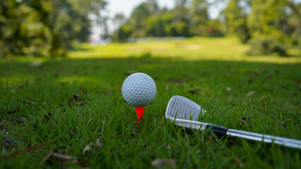 Golf ball and golf club on green in the evening golf course with sunshine in thailand.