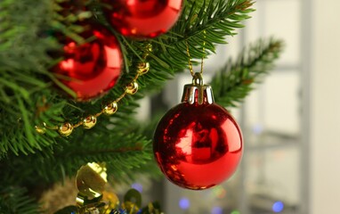 Christmas tree close-up, spruce branches with red balls 