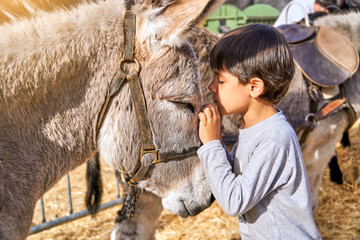 boy strocking his donkey on a farm with closed eyes