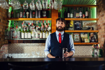 Positive barkeeper standing at counter