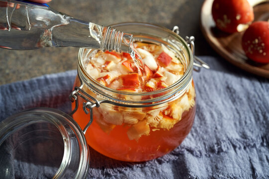 Preparation of herbal tincture from red fly agaric or amanita - pouring alcohol into a glass jar