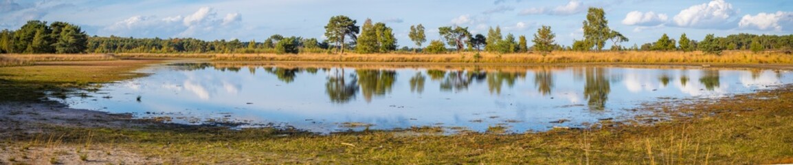 Fototapeta na wymiar Panorama view at Putse Moer in nature park Kalmthoutse Heide in Flanders, Belgium.