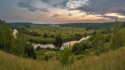 panorama of the forest