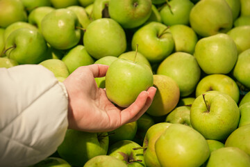 A woman chooses apples in a supermarket, organic and natural fruits.