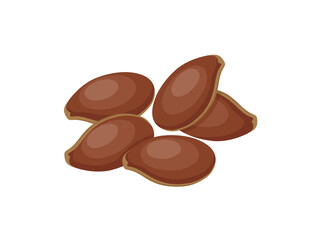 Vector illustration of flaxseed, brown flaxseed, healthy vegetarian food, isolated on a white background.
