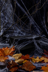 autumn Halloween decorations, black cubes pedestals in a spiderweb with brunches and leaves