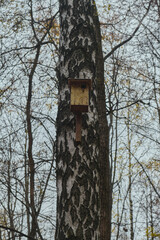 Wooden feeder for squirrels and birds on a tree in the autumn forest birdhouse