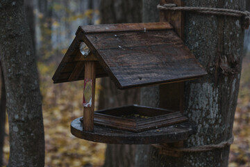Wooden feeder for squirrels and birds on a tree in the autumn forest birdhouse