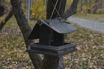 Wooden feeder for squirrels and birds on a tree in the autumn forest birdhouse