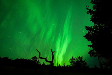 Naklejka na ściany i meble Northern lights aurora borealis night photography