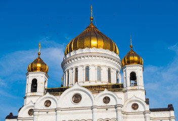 Domes of the Cathedral of Christ the Saviour and flock of birds. Sunny summer morning. Moscow. Russia