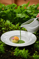 Fine dining green peas soup.