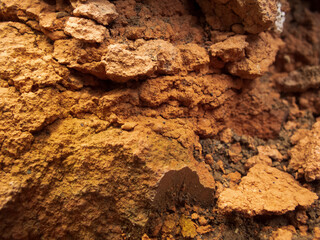 A close-up photo of a brick