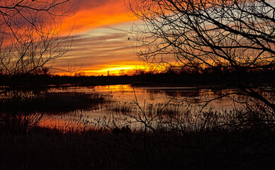 Sunset over the wetlands of Bourgoyen nature reserve, Ghent