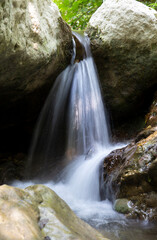 Tusciano river forest scenery in cilento