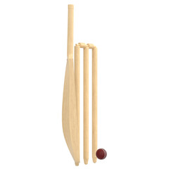 3d rendering illustration of cricket equipment
