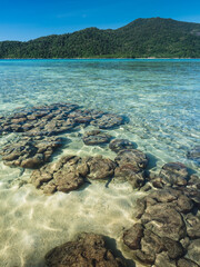 Scenic view of Sunset Beach, Koh Lipe Island. Crystal clear shallow water with coral reef transparent against summer blue sky and Koh Adang Island background. Satun, Thailand.