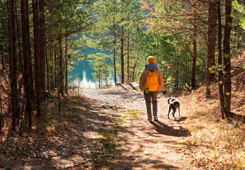 Rear view young woman with yellow backpack walking mixed breed dog with bedlington whippet through...