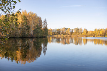 Autumn landscape with a pond. Trees with yellow foliage are reflected in the water.