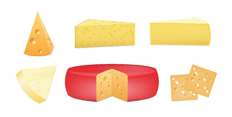 Set of realistic cheese pieces. Fresh hard cheese sliced, whole head. Tasty dairy cuisine ingredient