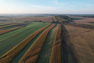 Gospodarstwo rolne © Pawel Szypula