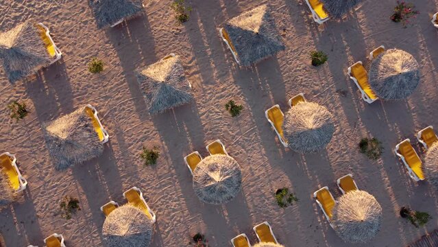 Aerial view of beach umbrellas and sunbeds on the beach in summer