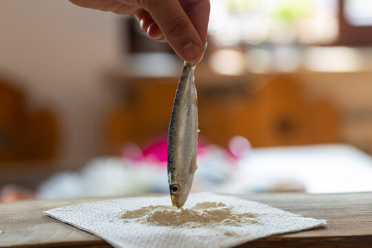close up of hand holding a sardina