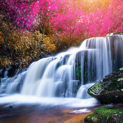 Amazing in nature, beautiful waterfall at colorful autumn forest in fall season	