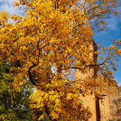 Hirschhorn Castle a ruined castle on the Neckar