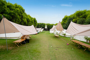 The campsite in the forest is covered with tents