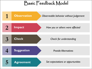 Five steps of Basic Feedback Model with description placeholder in an Infographic template