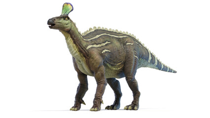 dinosaur illustration