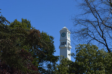 field of the beautiful university of conception in Chile surrounded by nature